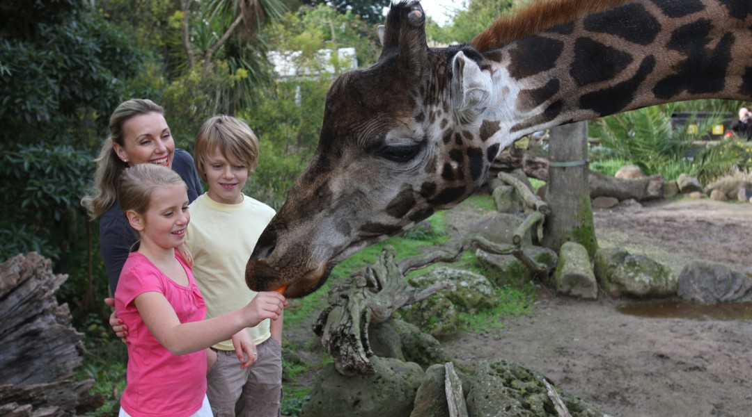 melbourne zoo