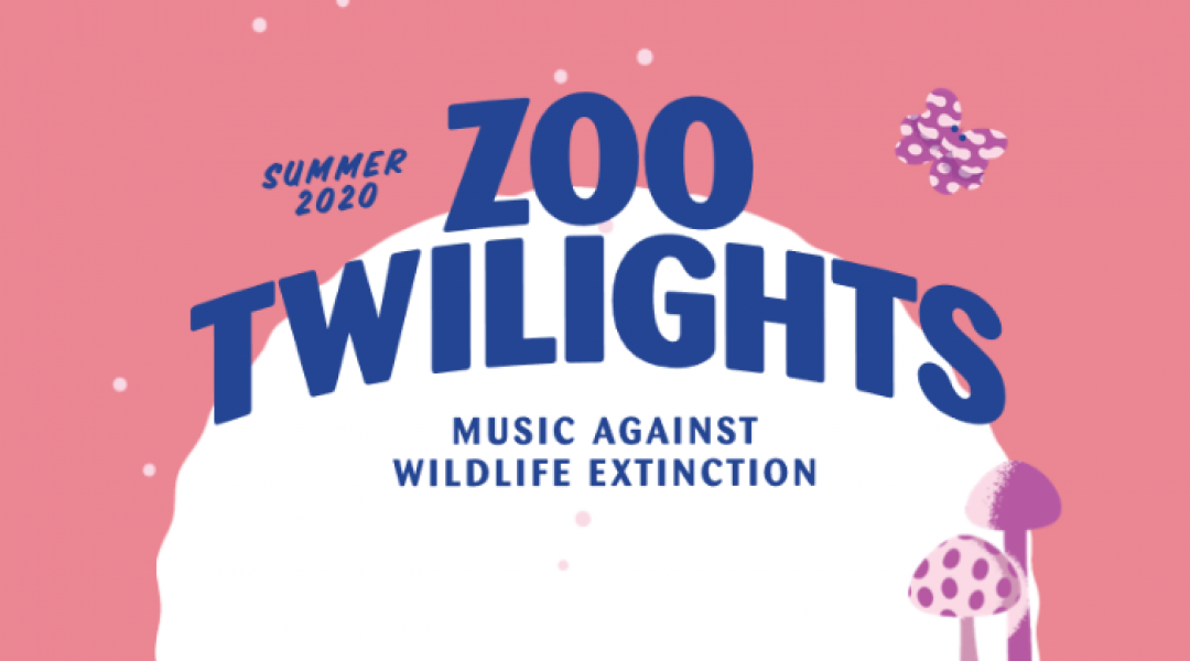 Zoo Twilight Melbourne